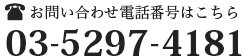 霊芝についてお問い合わせ電話番号はこちら03-5297-4181