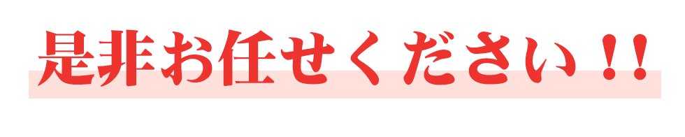 是非お任せください